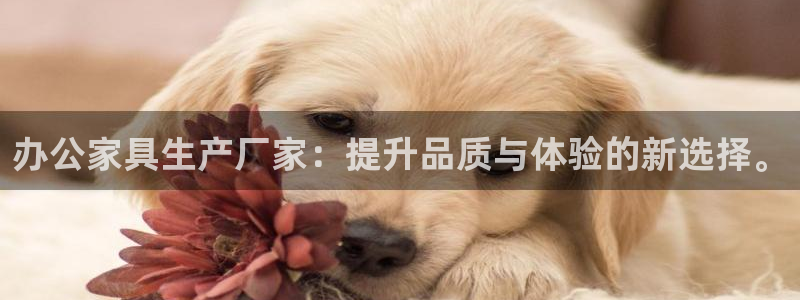 星欧娱乐登录后怎么登录