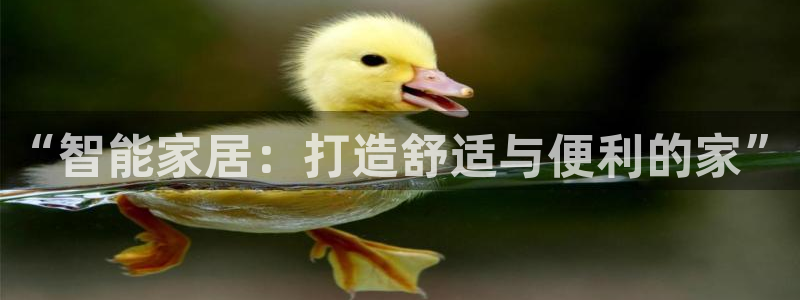 星欧平台娱乐注册的方式