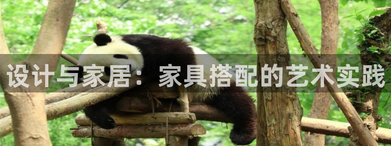 娱乐星扒客欧豪