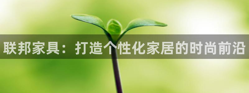 星欧娱乐平台主管