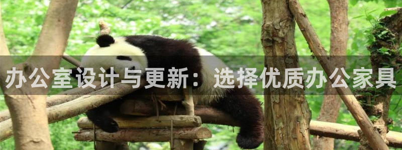 欧乐星城有没有娱乐设施