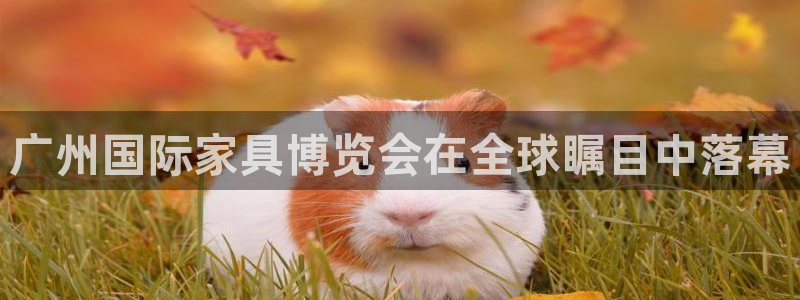 星欧娱乐app登录入口