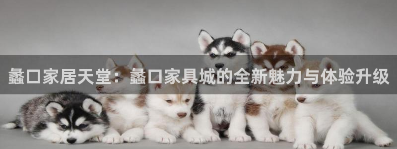 星欧娱乐公司老板背景