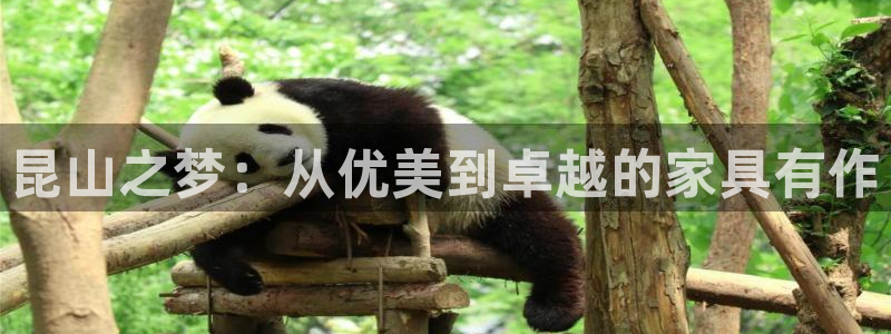 星欧娱乐最新消息今天