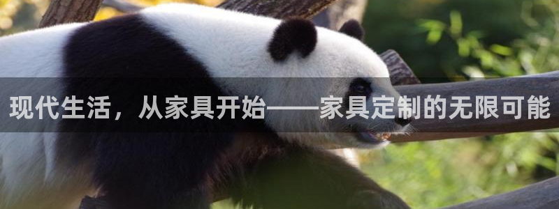 星欧娱乐扣费详情详解