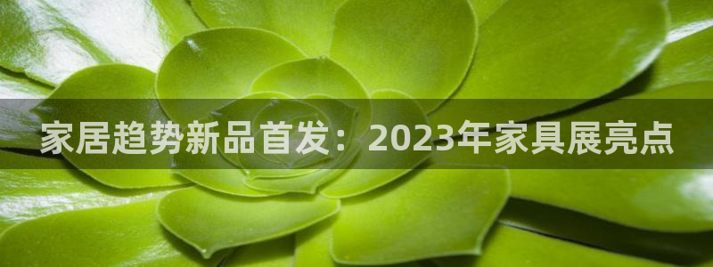 星欧娱乐app登录入口