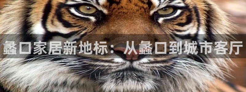 欧星娱乐国际平台