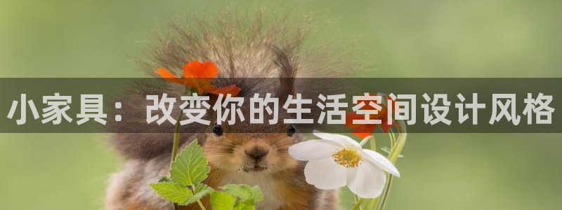 星欧娱乐最新活动