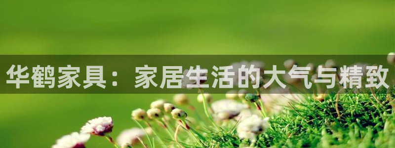 星欧娱乐下载官网