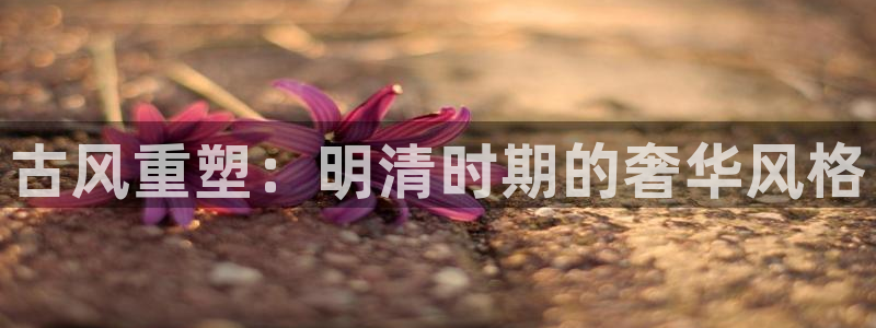 星欧娱乐最新消息今天