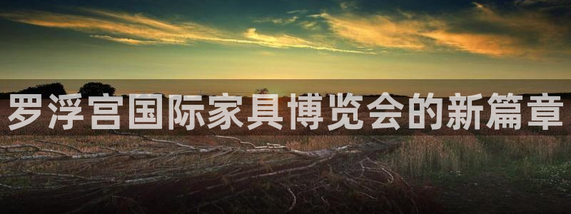 星辉娱乐进入欧联杯