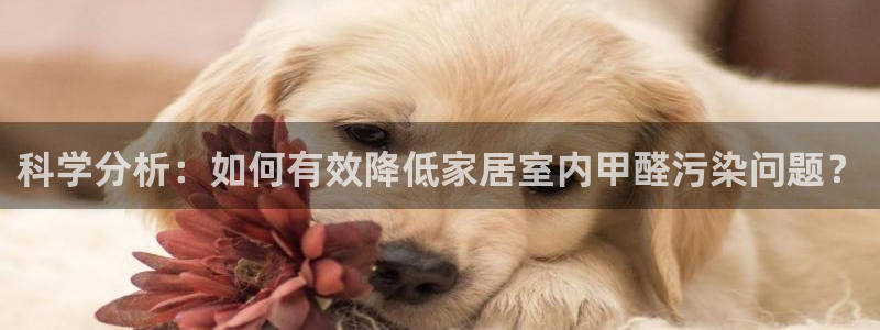 娱乐星扒客欧豪