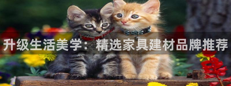 星欧娱乐彩票软件下载