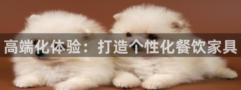 星欧娱乐经纪公司简介