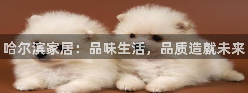 星欧娱乐官网客服电话号码