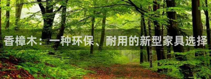 星欧娱乐最新活动