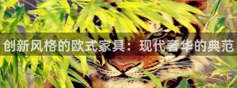 星欧娱乐现在叫什么