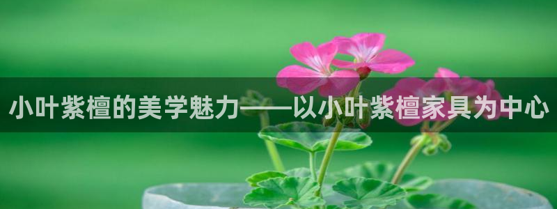 欧星娱乐棋牌怎么样