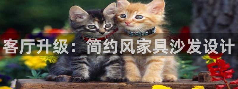 欧星娱乐网址接受