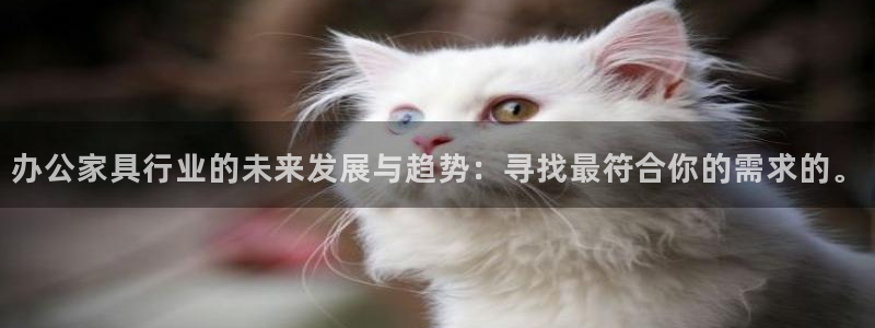 星欧娱乐招商：办公家具行业的未来发展与趋势：寻找最符合你的需